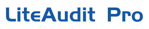 LiteAudit Logo